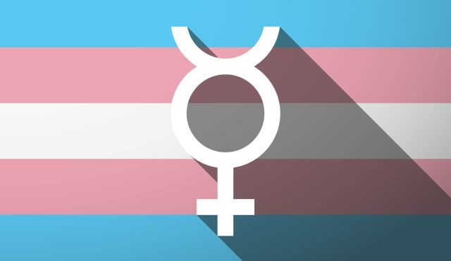 Transgender-Flag